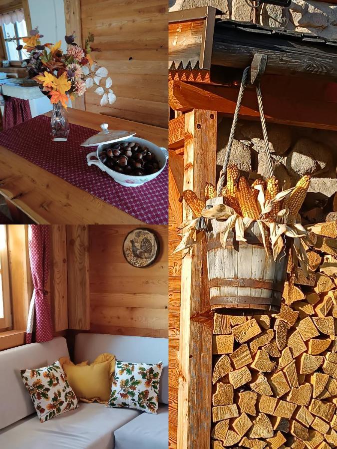 Baita Dei Fovi Базельга-ді-Піне Екстер'єр фото